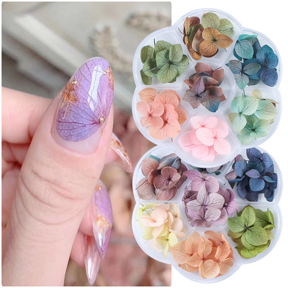 Cores Flores Secas para Unhas